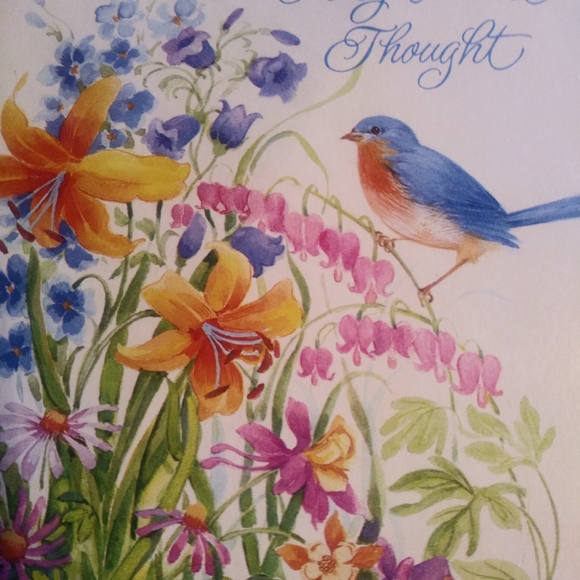 Spring closet updates - Picture 3 of 7